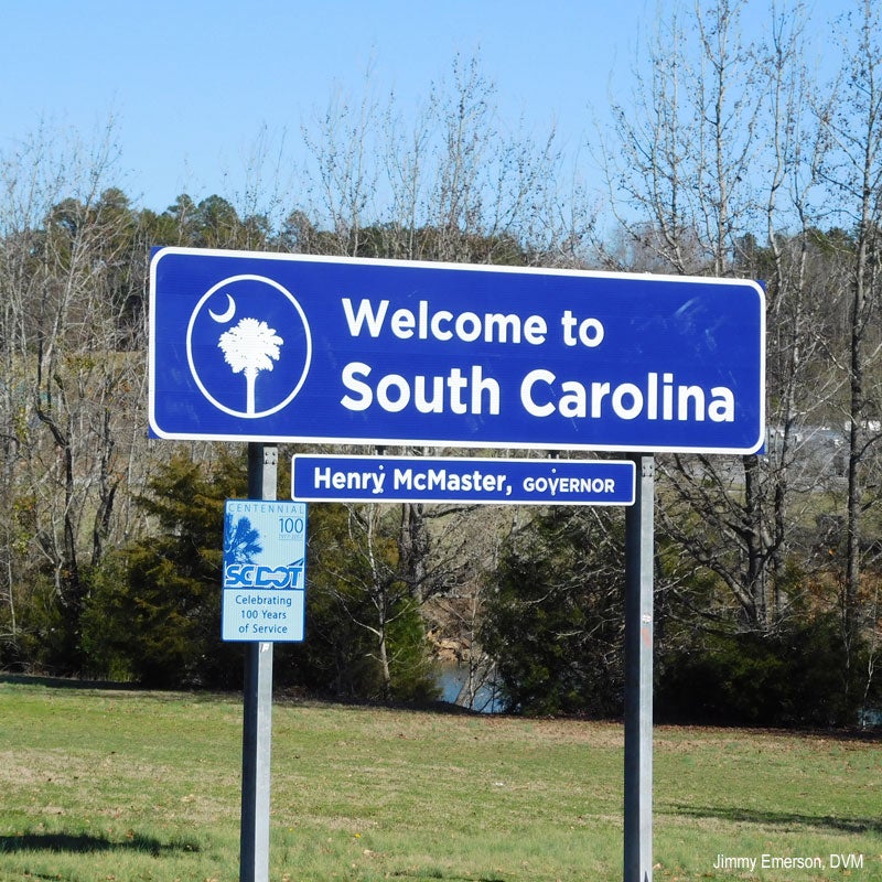 South Carolina Debates Casino Bill